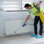 Ant Control Etobicoke