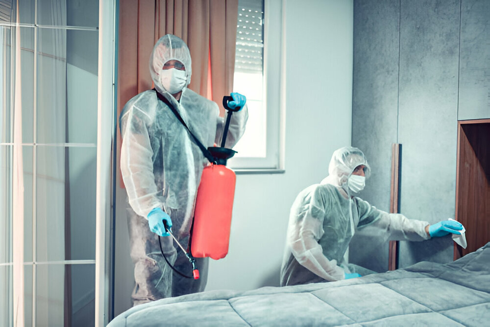 Bed Bug Control Etobicoke