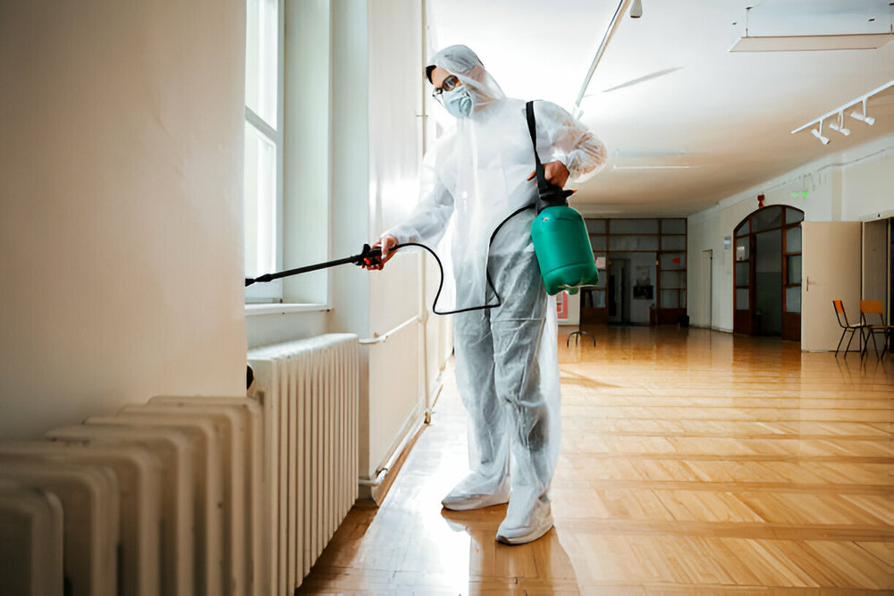 Residential Pest Control Etobicoke